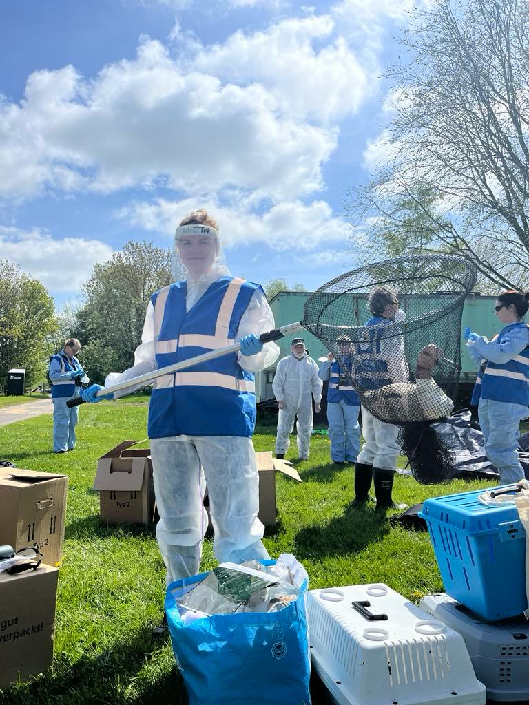 Eine Person in einem weißen Overall mit blauer Warnweste und einem Plastikschutz vor dem Gesicht hält ein Fangnetz für Vögel.